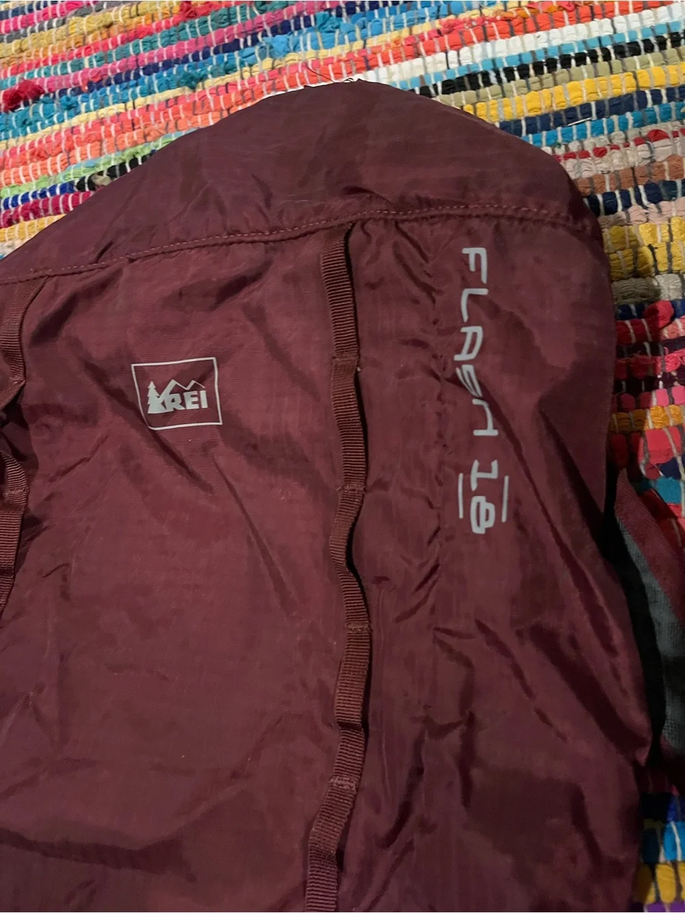 REI daypack